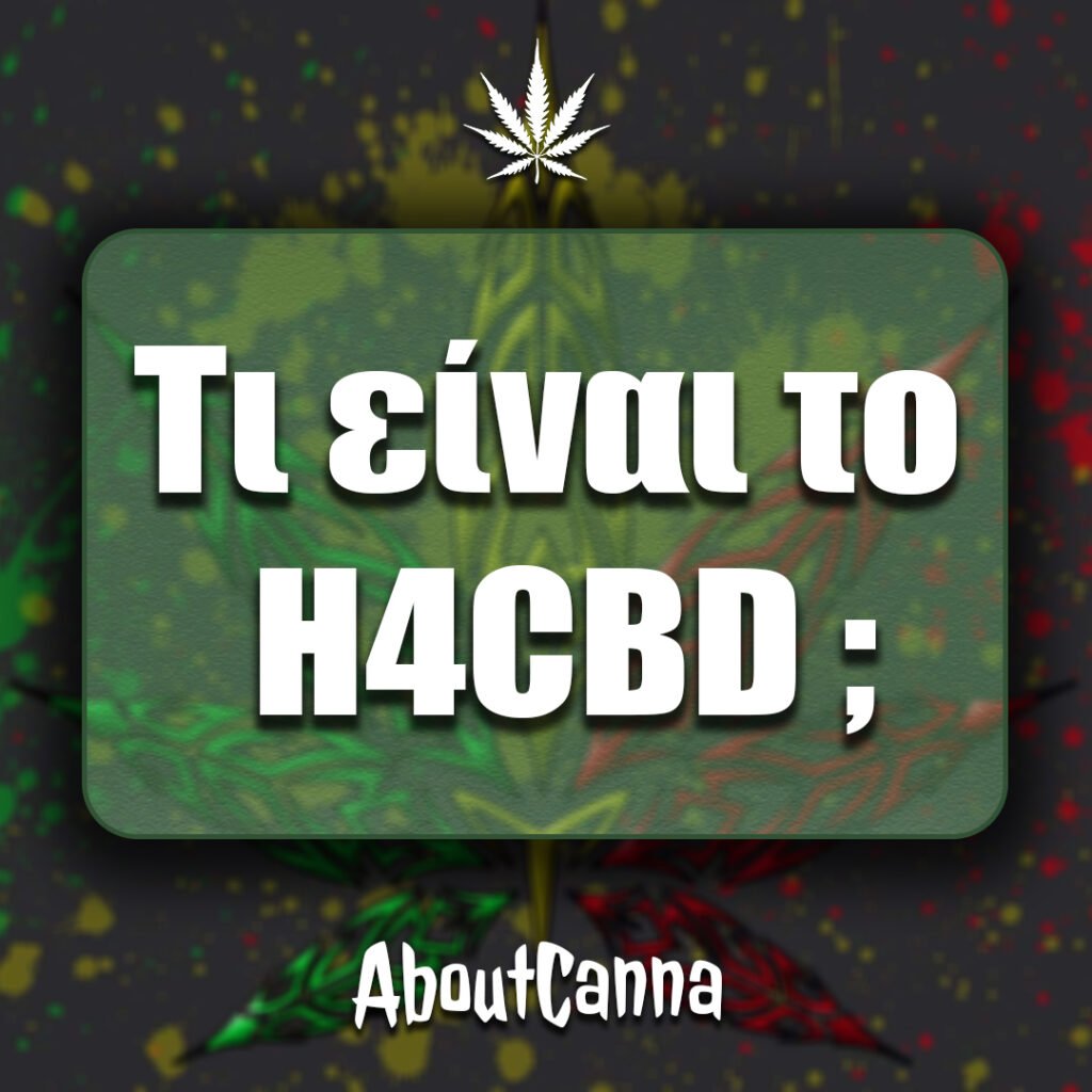 Τι είναι το H4CBD (υδρογονωμένη κανναβιδιόλη)
