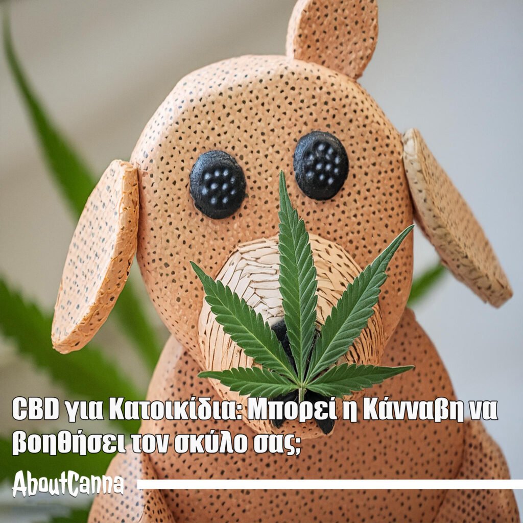 CBD για Κατοικίδια: Μπορεί η Κάνναβη να βοηθήσει τον σκύλο σας;